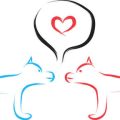 Using Indian Astrology in Relationship Counselling for Better Compatibility