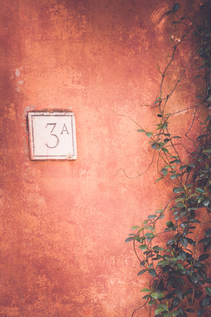 Ank Dosh Remedies: Vastu Tips for Positive Home Energy in Hindi Culture