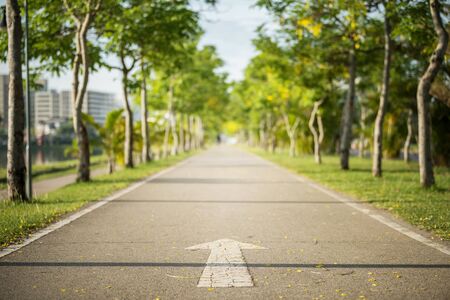 Obstacles in Fate Line: Meaning of Small Lines, Islands, Crosses & Chain Marks
